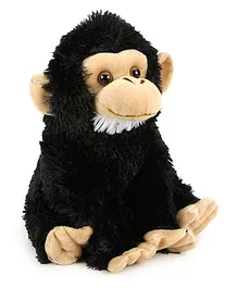 Wild Republic CK Baby Chimpanzee Soft Toy Black - 30 cm