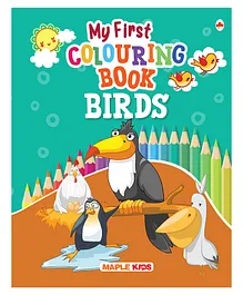 Colouring Book Birds - English