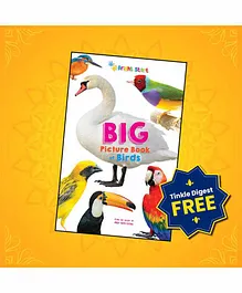 Amar Chitra Katha Big Picture Book of Birds - English
