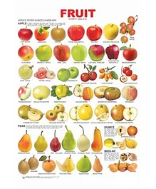 Dreamland Fruit Chart - 1 Educational Wall Chart For Kids - Both Side Hard Laminated (Size 48 x 73 cm)