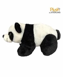 Sterling Panda Soft Toy Black White - Length 35 cm