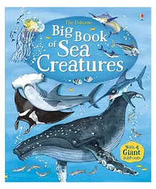 Usborne Big Book of Sea Creatures - English