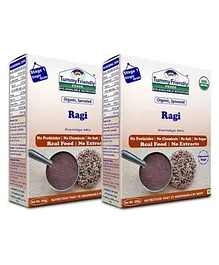 Tummy Friendly Foods Ragi Porridge Mixes Packs Set of 2 - 200 gm Each