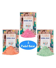Fiddlerz Organic Eco Friendly Perfumed Herbal Gulal Assorted Colors Pack of 3 - 80 gm each