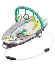 Mastela Bouncer With Music And Vibrations - Grey Green