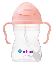 B.Box Weighted Straw Sipper with Twin Handle - 240 ml (Color May Vary)