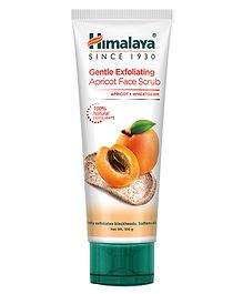 Himalaya Apricot Scrub - 100 gm