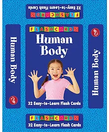 Human Body Flash Cards - 32