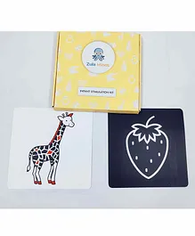 ZulaMinds Infant Stimulation Kit 2 Multicolor - 10 Cards