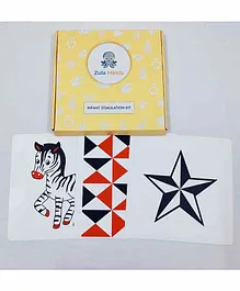 ZulaMinds Infant Stimulation Flash Cards Kit Combo Multicolor - 20 Cards