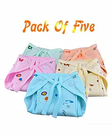 The Little Lookers Reusable Cloth Diaper Pack Of 5 - Multicolor