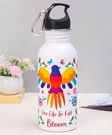 Unicorn Knack Stainless Steel Color Changing Magic Bottle Multicolor - 600 ml