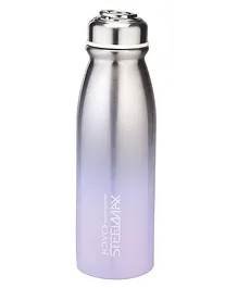 Joyo Cool Viz Insulated Stainless Steel Bottle Purple - 450 ml