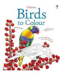 Usborne Birds to Color - English