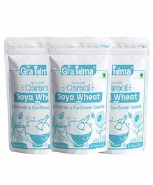 ByGrandma Soya and Wheat Baby Food Pack of 3 - 280 gm Each 