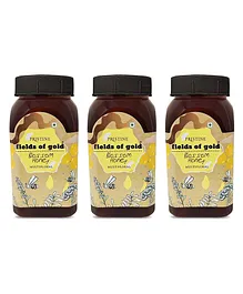 Pristine Fields of Gold Blossom Honey Pack of 3 - 250 gm each