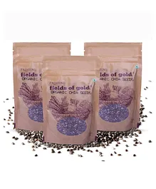 Pristine Organic Chia Seeds Pack of 3 - 100 gm each