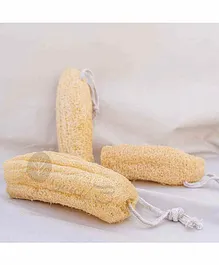 Organic B Natural Organic Loofah Pack of 3 - Brown