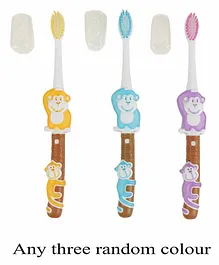 Passion Petals Monkey Design Toothbrush Pack Of 3 - Multicolour  