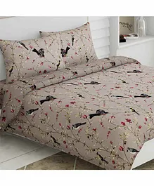 Haus & Kinder 100% Cotton Double Bedsheet King Size With 2 Pillow Covers Floral Print - Beige