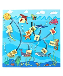 Little Genius Fish Matching Maze - Multicolour
