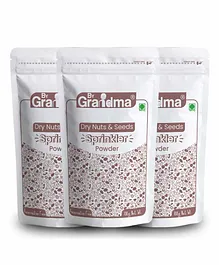 ByGrandma Dry Nuts & Seeds Sprinkler Powder Mix Pack of 3- 100 gm Each