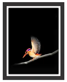 Divamee Wooden Photo Frame Bird Print - Black