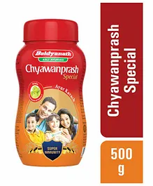 Baidyanath Chyavanprash Special - 500 gm