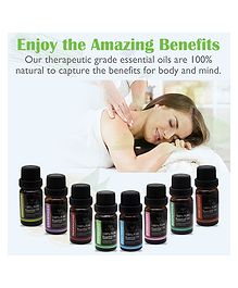 Amour Diffuser Essential Oil Set of 8 - 10 ml each