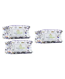 The Little Lookers  Soft Cleansing Anti Bacterial Baby Cotton Wipes Pack Of 3 - 90 Pieces Each