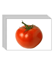 The Brain Growth Club Picture Flash A3 Cards - 30 Cards