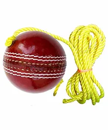 Toyshine Leather Cricket Hanging Ball - Red