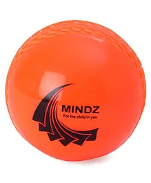 Mindz Beach Ball - Orange 