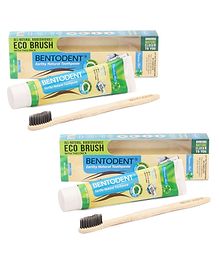 Bentodent Earthy Natural Toothpaste With Bamboo Tooth Brush - 100 gm (Pack of 2)