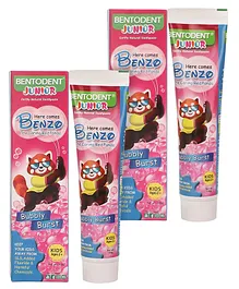 Bentodent Junior Earthy Natural Toothpaste For Kids Toothpaste - 100 gm (Pack of 2)