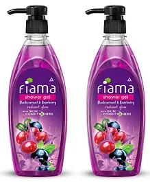 Fiama Shower Gel Bearberry and Blackcurrant - 500 ml Pack Of 2