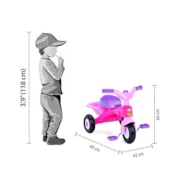 aosom 2 in 1 bike trailer