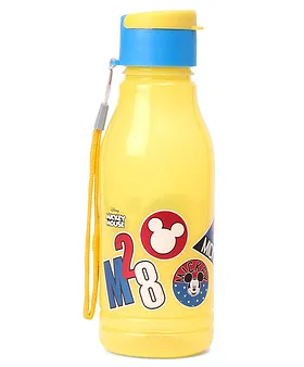 2023 Mickey and Friends Flip Top Water Bottle