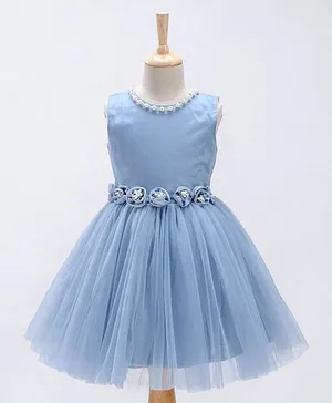 Bluebell Sleeveless Party Wear Frock with Floral Applique - Blue