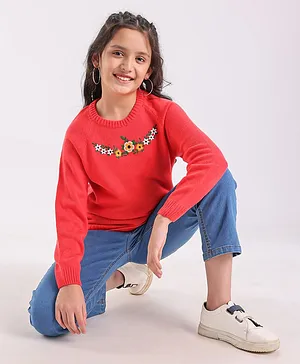 Pine Kids Full Sleeves Embroidered Pullover Sweater - Multicolor