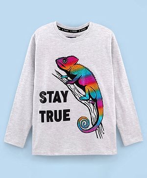 Pine Kids Full Sleeves Biowashed T-Shirt Chameleon & Text Print - Grey