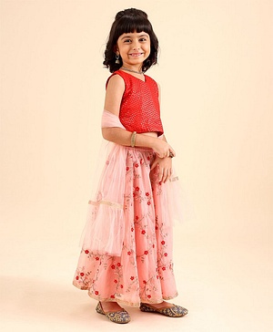 Babyhug Sleeveless Sequinned Choli & Embroidered Lehenga With Dupatta Set - Red Pink