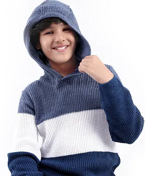 Pine Kids Full Sleeves Color Block Hooded Sweater for Moderate Winter - Multicolour