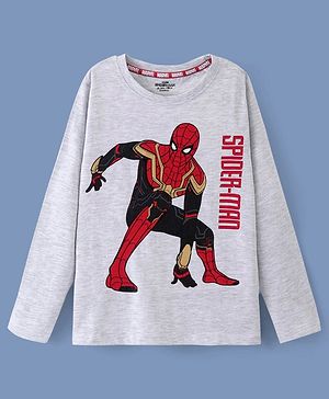 Pine Kids Biowashed Spider Man Collection Full Sleeves Tee - Light Grey