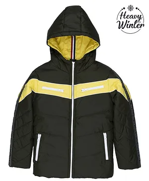 Status Quo Full Sleeves Hooded Padded Jacket Colour Block Pattern - Olive