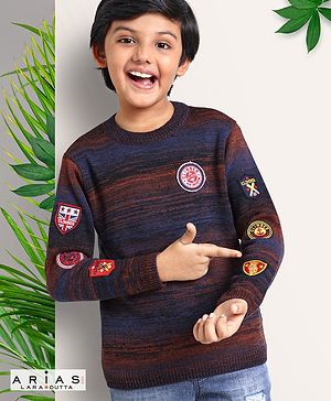 Arias Knit Full Sleeve Jacquard Sweater With Applique Embroidery - Multicolor