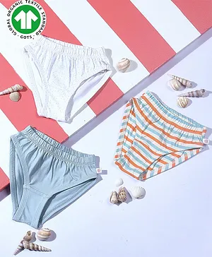 GREENDiGO Pack Of 3 Organic Cotton Striped & Solid Panties - Multi Color