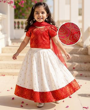 Babyhug 100% Cotton Woven Short Sleeves South Pavda Pattu & Lehenga Set Embroidery Detailing - Red