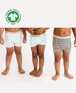 GREENDiGO Organic Cotton Pack Of 3 Solid & Rugby Striped Briefs - Blue & White