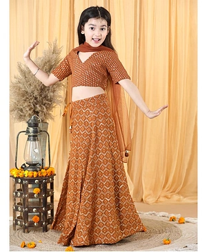 Piccolo Half Sleeves Striped Patterned Sequin Embellished Choli With Seamless Flower Block Embroidered Lehenga & Dupatta - Brown